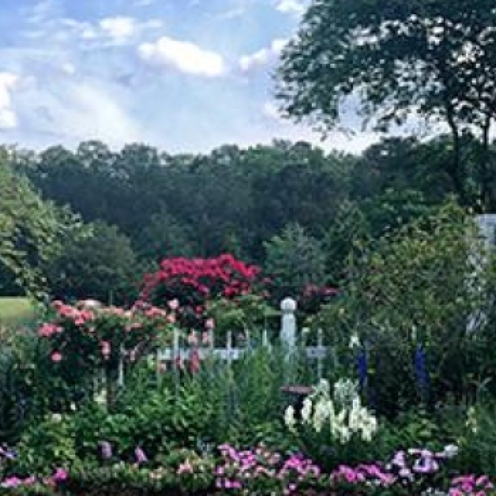 THE GARDEN CLUB OF JACKSON